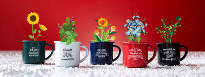 Holiday Plant Gifts