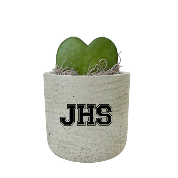 Add Your Logo: Stone Finish Mini Pot with Succulent