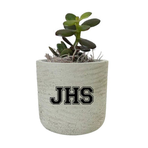 Add Your Logo: Stone Finish Mini Pot with Succulent