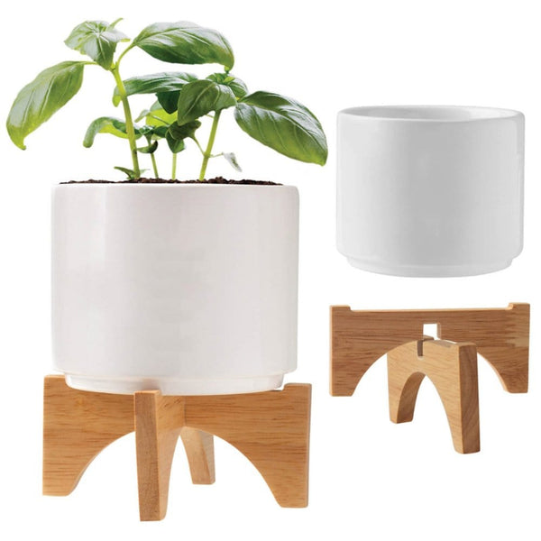 Add Your Logo: Mod Vibes Ceramic Planter Kit