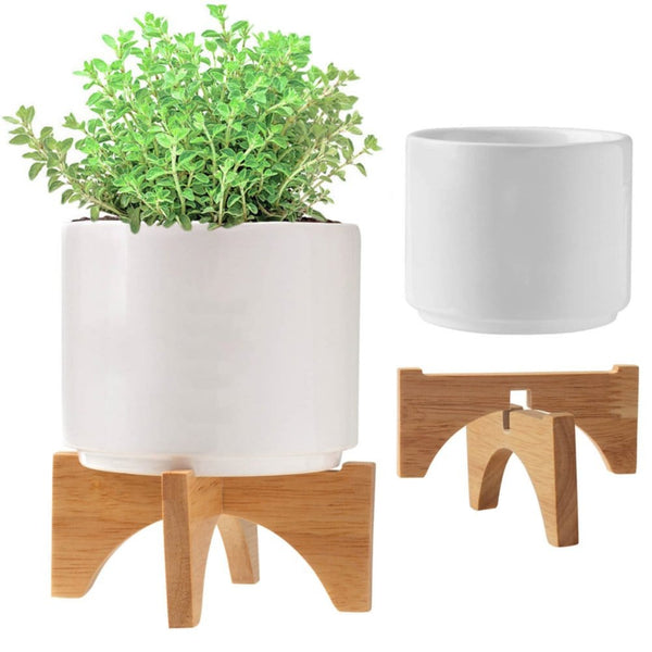 Add Your Logo: Mod Vibes Ceramic Planter Kit