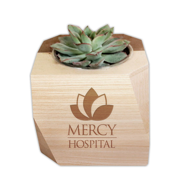 Add Your Logo: Geometric Wood Planter with Succulent