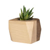 Add Your Logo: Geometric Wood Planter with Succulent