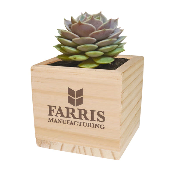 Add Your Logo: Wooden Cube Grow Kit with Succulent