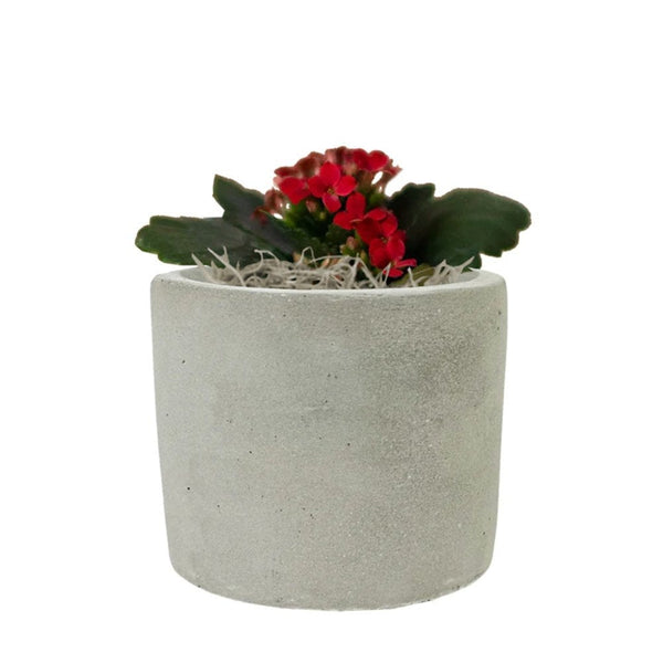 Add Your Logo: Mini Mod Planter with Succulent