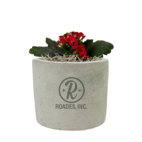 Add Your Logo: Mini Mod Planter with Succulent