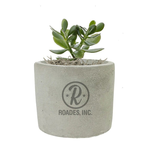 Add Your Logo: Mini Mod Planter with Succulent