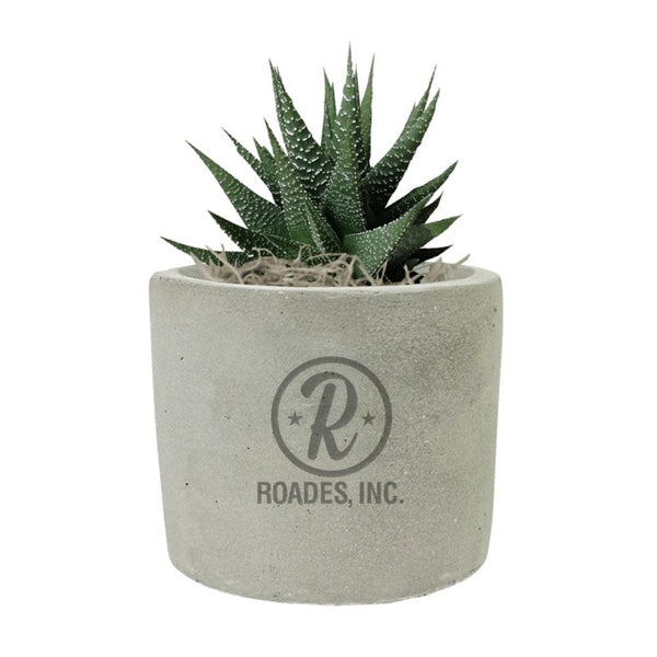 Add Your Logo: Mini Mod Planter with Succulent