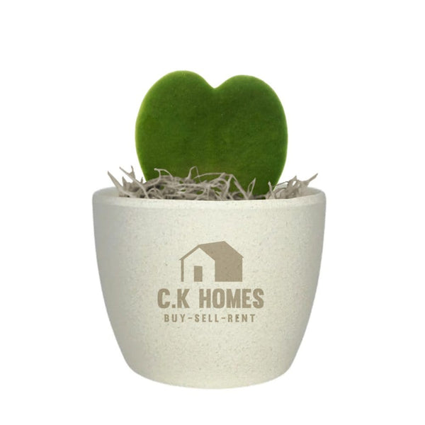 Add Your Logo: Recycled Planter Pot with Succulent