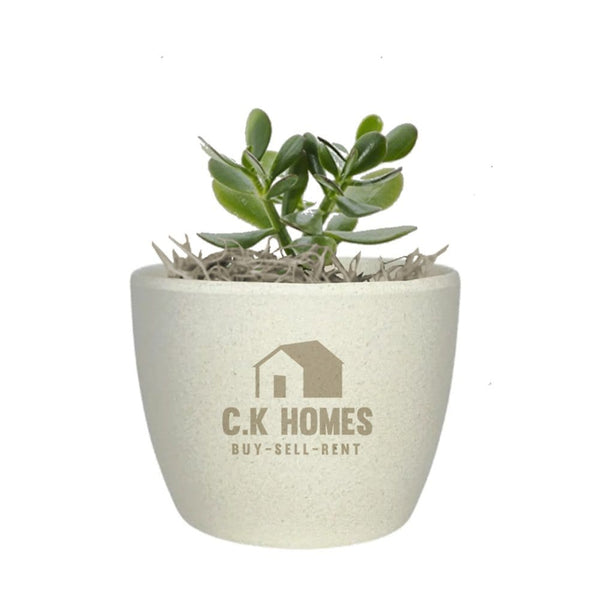 Add Your Logo: Recycled Planter Pot with Succulent