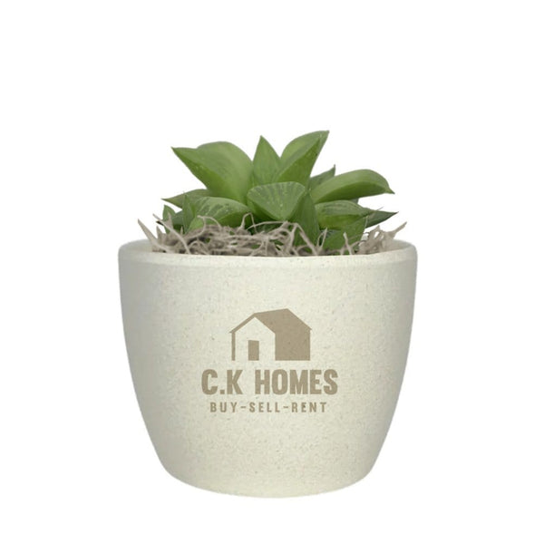 Add Your Logo: Recycled Planter Pot with Succulent