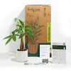 Add Your Logo: Money Tree Plant Kit - Small