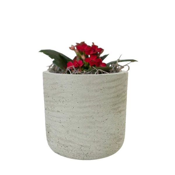 Add Your Logo: Stone Finish Mini Pot with Succulent