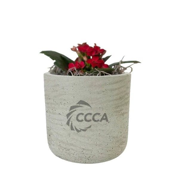 Add Your Logo: Stone Finish Mini Pot with Succulent