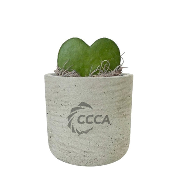 Add Your Logo: Stone Finish Mini Pot with Succulent