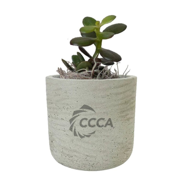 Add Your Logo: Stone Finish Mini Pot with Succulent