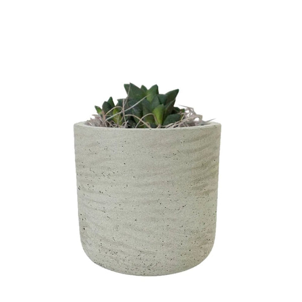 Add Your Logo: Stone Finish Mini Pot with Succulent