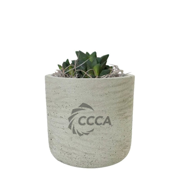 Add Your Logo: Stone Finish Mini Pot with Succulent