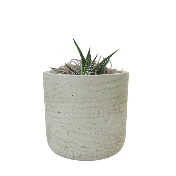 Add Your Logo: Stone Finish Mini Pot with Succulent