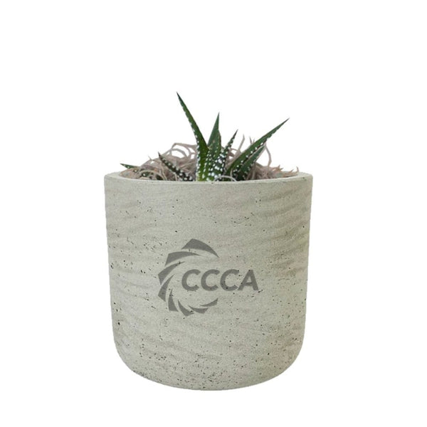 Add Your Logo: Stone Finish Mini Pot with Succulent