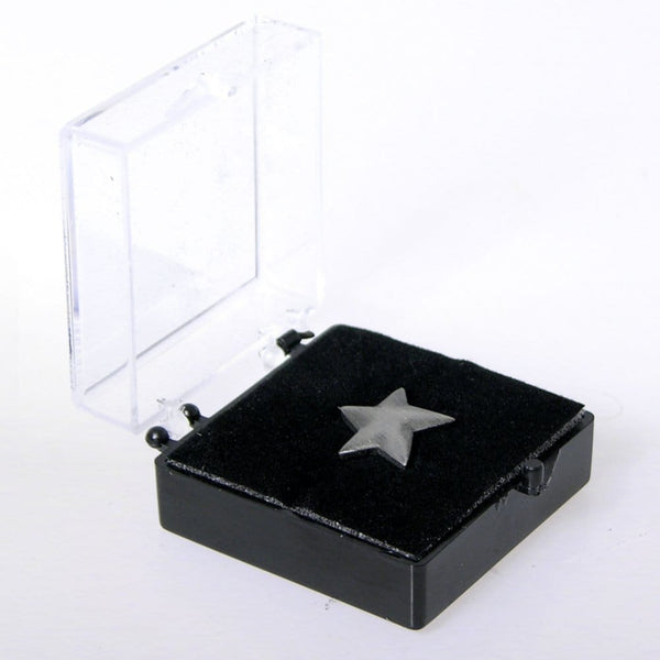 Lapel Pin - Silver Star