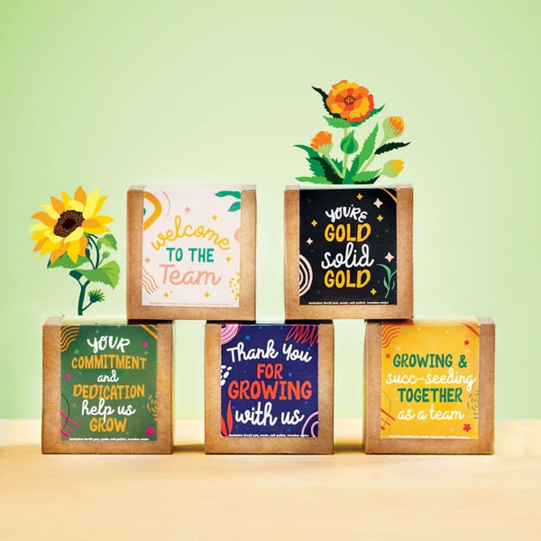 Growable Praise Plant Kit - Commitment and Dedication