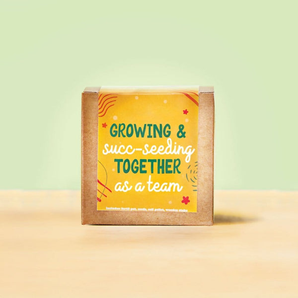 Growable Praise Plant Kit - Succeeding