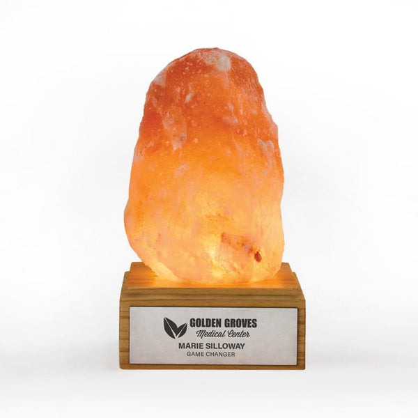 Glowing Honors Salt Lamp Trophy - Natural Rock