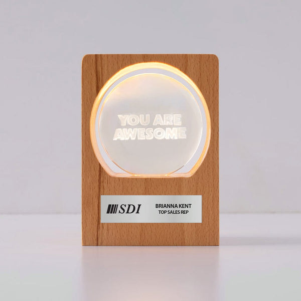 3D Etched Glowing Globe Award - Awesome