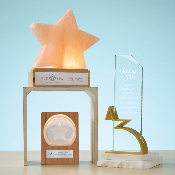 3D Etched Glowing Globe Award - Star