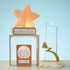 3D Etched Glowing Globe Award - Star