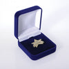 Anniversary Lapel Pin - Service Award Star - 05