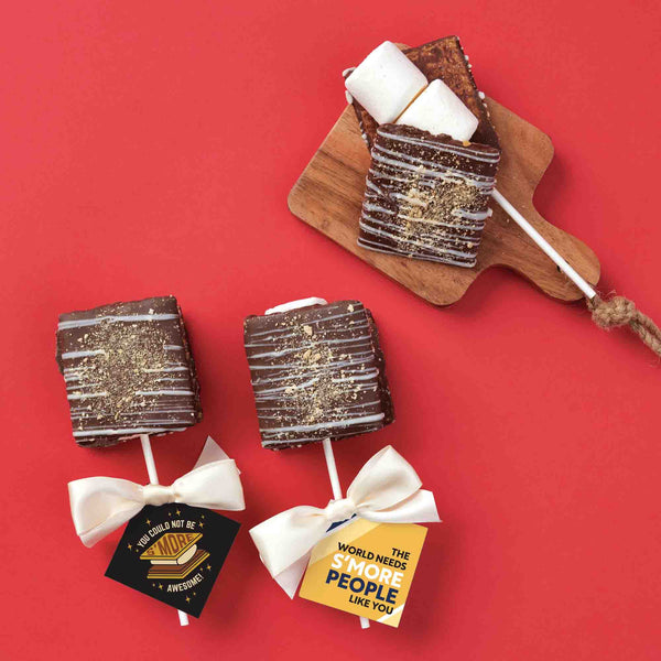 Decadent S'mores Pop - S'more Awesome