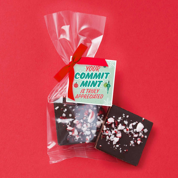 Bite Size Belgian Chocolate Square - Peppermint