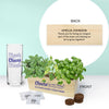 Custom: Cheers to Growth Planter Kit Mocktail Set