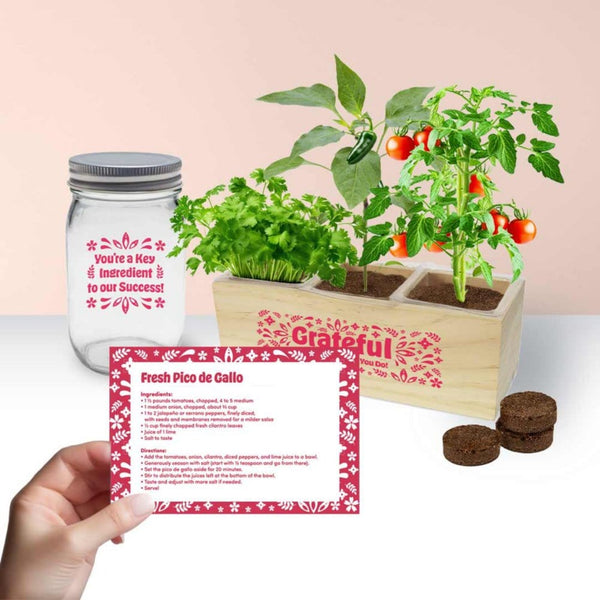 Fiesta Planter Kit & Salsa Gift Set