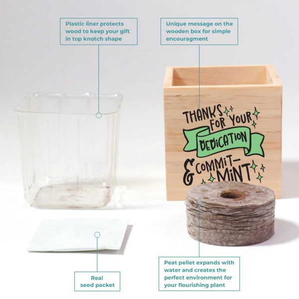 Growing Gratitude Plant Kit - Commit-MINT