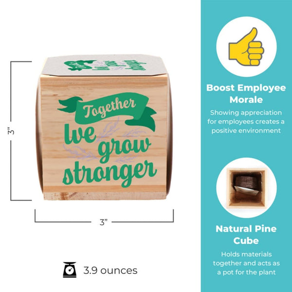 Growing Gratitude Plant Kit - Grow Stronger Lavender