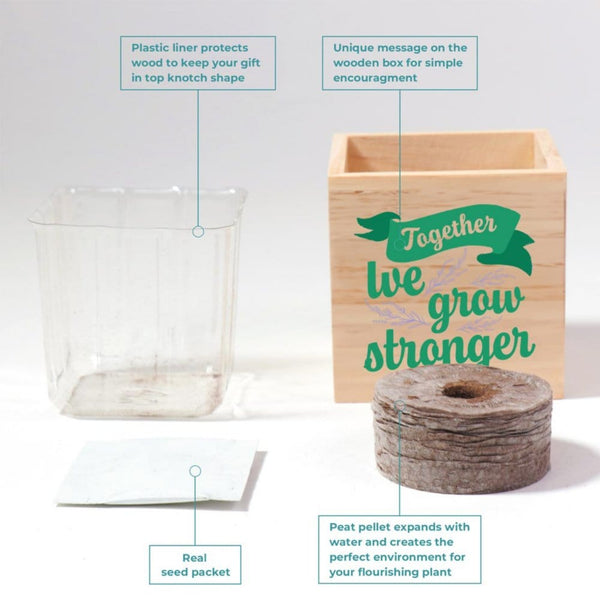 Growing Gratitude Plant Kit - Grow Stronger Lavender