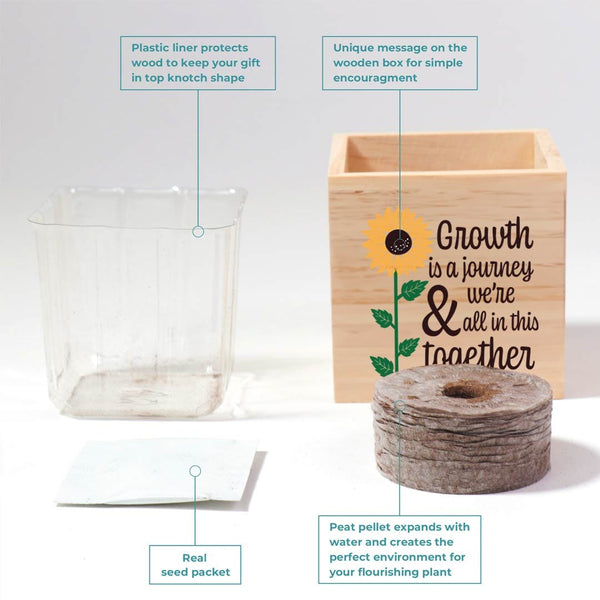 Growing Gratitude Plant Kit - Growth is a Journey Sunflower