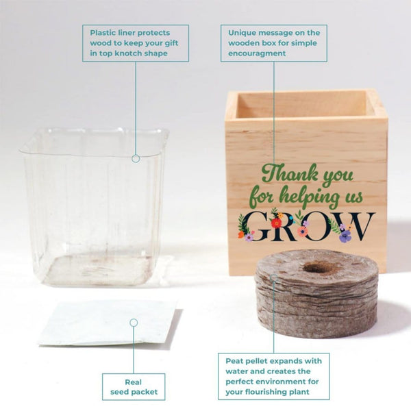 Growing Gratitude Plant Kit - Thank You Zinnia