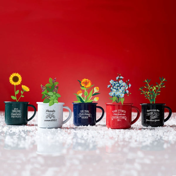 Mini Classic Campfire Mug Planters - Thyme and Energy