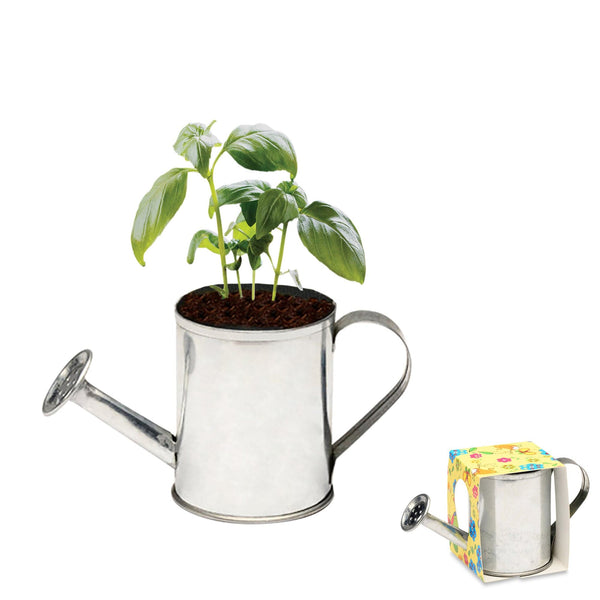 Add Your Logo: Watering Can Planter