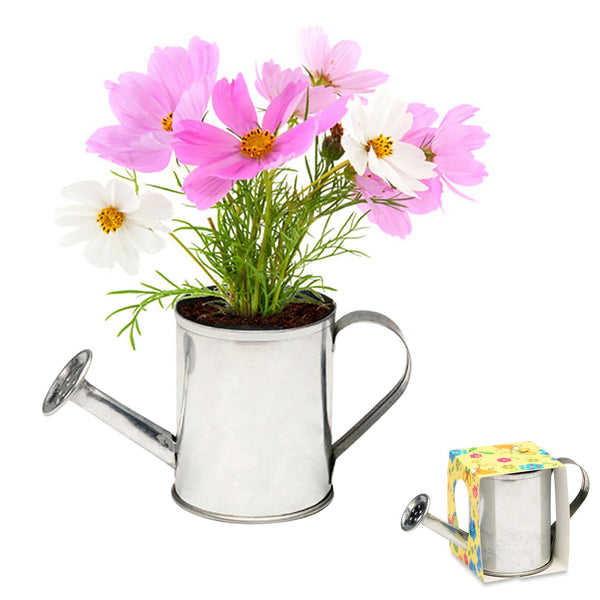 Add Your Logo: Watering Can Planter