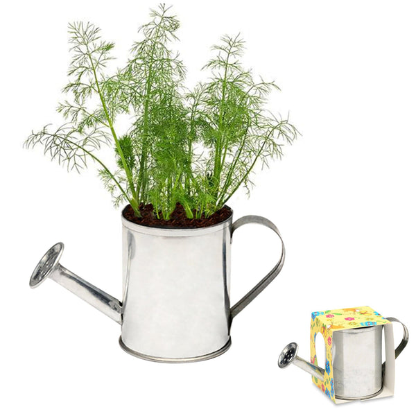 Add Your Logo: Watering Can Planter