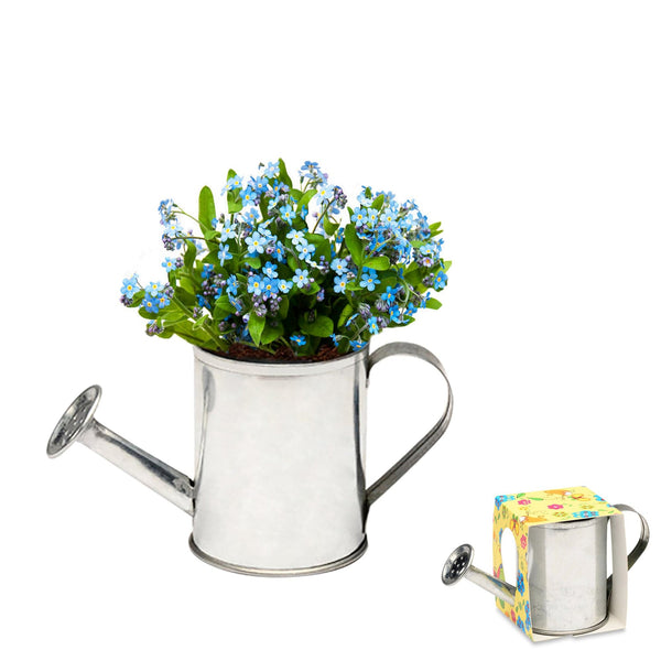 Add Your Logo: Watering Can Planter