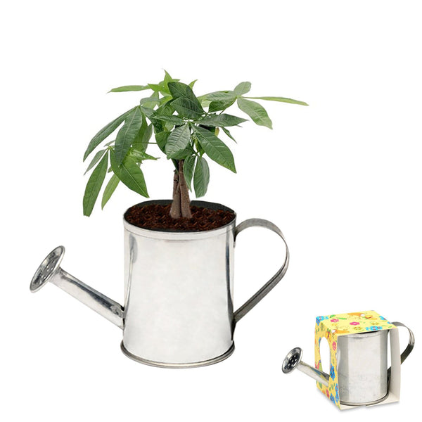 Add Your Logo: Watering Can Planter