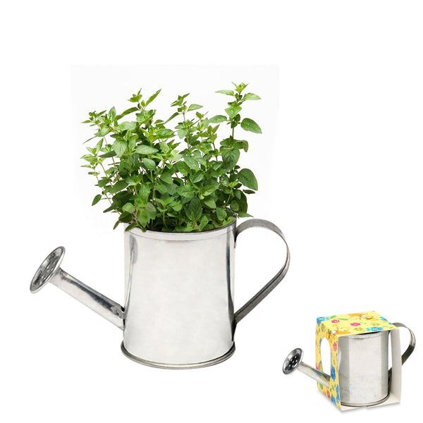 Add Your Logo: Watering Can Planter