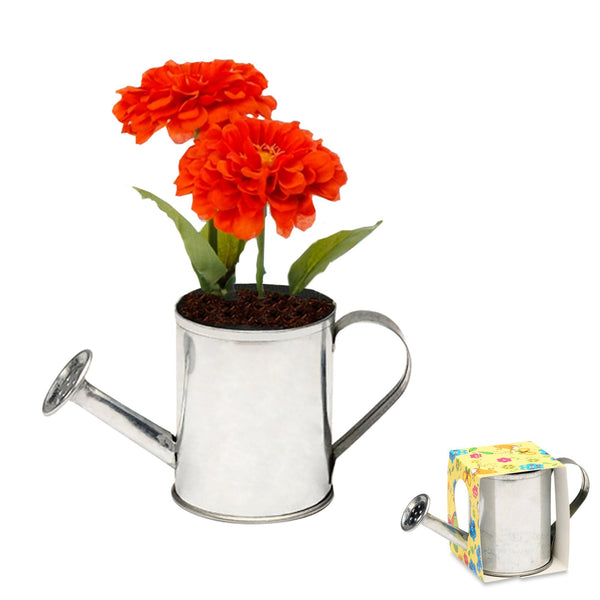 Add Your Logo: Watering Can Planter