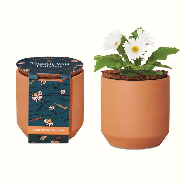 Add Your Logo: Modern Sprout® Tiny Terracotta Grow Kit